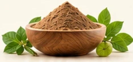 Organic herbal extract powder in a wooden bowl