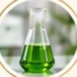 Laboratory flask with green extract